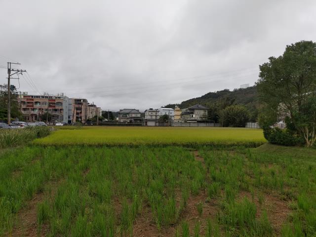 龍潭建地-0