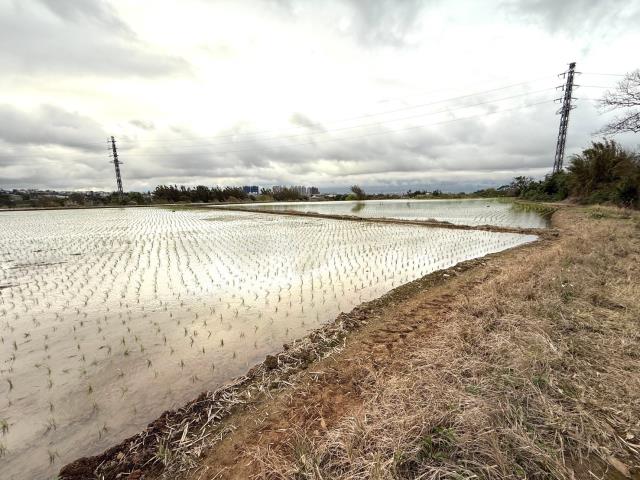桃園平鎮農地-1