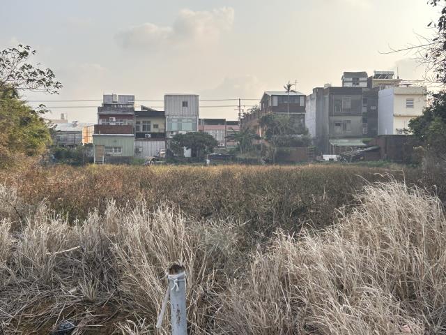 桃園中壢農地-7