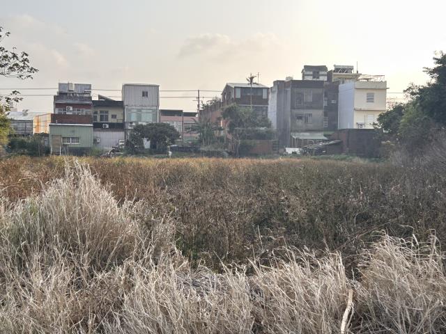 桃園中壢農地-8