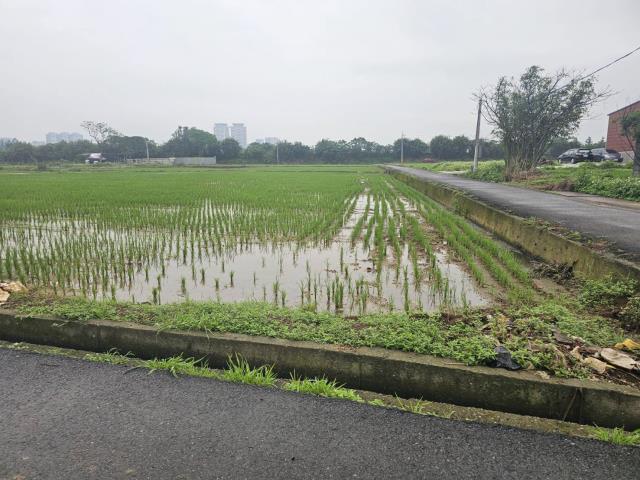 桃園中壢農地-4