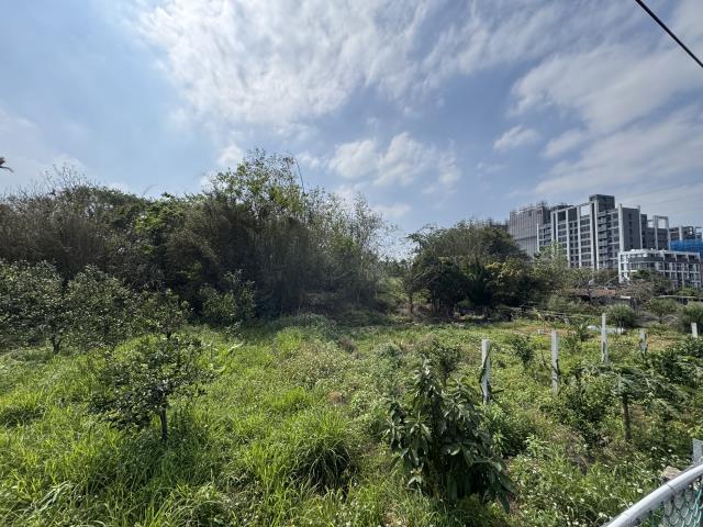中壢農地-4
