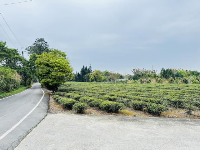 龍潭農地-2