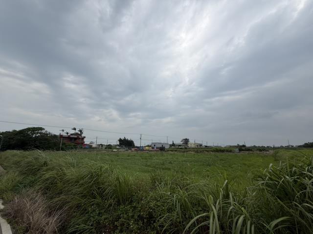 桃園觀音農地-4