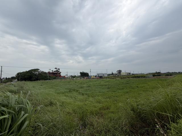 桃園觀音農地-5